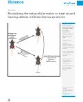 Cover page: Modulating the extracellular matrix to treat wound healing defects in Ehlers-Danlos syndrome