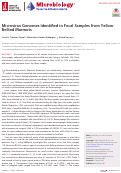 Cover page: Microvirus Genomes Identified in Fecal Samples from Yellow-Bellied Marmots.