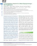 Cover page: A Gene Regulatory Network for Cellular Reprogramming in Plant Regeneration