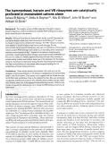 Cover page: The hammerhead, hairpin and VS ribozymes are catalytically proficient in monovalent cations alone