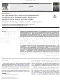 Cover page: Two expressions of the transition from mafic cumulates to granitoids in the Bushveld Complex, South Africa: Examples from the western and eastern limbs