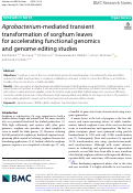 Cover page: Agrobacterium-mediated transient transformation of sorghum leaves for accelerating functional genomics and genome editing studies