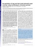 Cover page: Reconstitution of long and short patch mismatch repair reactions using Saccharomyces cerevisiae proteins.