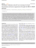 Cover page: Ferredoxin reductase and p53 are necessary for lipid homeostasis and tumor suppression through the ABCA1–SREBP pathway