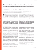 Cover page: Ameloblastin is a cell adhesion molecule required for maintaining the differentiation state of ameloblasts