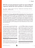 Cover page: MICOS and phospholipid transfer by Ups2–Mdm35 organize membrane lipid synthesis in mitochondria