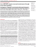 Cover page: Loss of IRF2BPL impairs neuronal maintenance through excess Wnt signaling