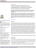 Cover page: Intestinal epithelial replacement by transplantation of cultured murine and human cells into the small intestine