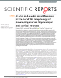 Cover page: In vivo and in vitro sex differences in the dendritic morphology of developing murine hippocampal and cortical neurons