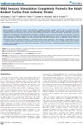 Cover page: Mild Sensory Stimulation Completely Protects the Adult Rodent Cortex from Ischemic Stroke