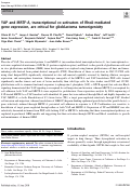 Cover page: YAP and MRTF-A, transcriptional co-activators of RhoA-mediated gene expression, are critical for glioblastoma tumorigenicity