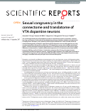 Cover page: Sexual congruency in the connectome and translatome of VTA dopamine neurons