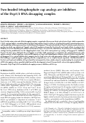 Cover page: Two-headed tetraphosphate cap analogs are inhibitors of the Dcp1/2 RNA decapping complex