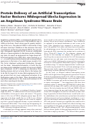 Cover page: Protein Delivery of an Artificial Transcription Factor Restores Widespread Ube3a Expression in an Angelman Syndrome Mouse Brain