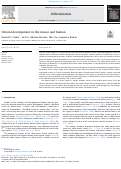 Cover page: Clitoral development in the mouse and human