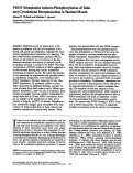 Cover page: PDGF stimulation induces phosphorylation of talin and cytoskeletal reorganization in skeletal muscle.