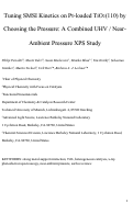 Cover page: Tuning Strong Metal–Support Interaction Kinetics on Pt-Loaded TiO2(110) by Choosing the Pressure: A Combined Ultrahigh Vacuum/Near-Ambient Pressure XPS Study