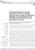 Cover page: Characterizing Adult Cochlear Supporting Cell Transcriptional Diversity Using Single-Cell RNA-Seq: Validation in the Adult Mouse and Translational Implications for the Adult Human Cochlea.