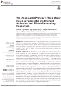 Cover page: Yes-Associated Protein 1 Plays Major Roles in Pancreatic Stellate Cell Activation and Fibroinflammatory Responses