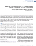 Cover page: Disruption of Endocytosis with the Dynamin Mutant shibire(ts1) Suppresses Seizures in Drosophila