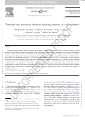 Cover page: Transient and executive function working memory in schizophrenia