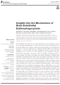 Cover page: Insights Into the Mechanisms of Brain Endothelial Erythrophagocytosis