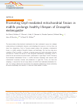 Cover page: Promoting Drp1-mediated mitochondrial fission in midlife prolongs healthy lifespan of Drosophila melanogaster