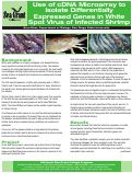 Cover page: Use of cDNA microarray to isolate differentially expressed genes in White Spot Virus infected shrimp (penaeus stylirostris)