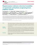 Cover page: Repolarization indicates electrical instability in ventricular arrhythmia originating from papillary muscle