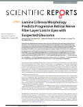 Cover page: Lamina Cribrosa Morphology Predicts Progressive Retinal Nerve Fiber Layer Loss In Eyes with Suspected Glaucoma