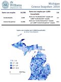 Cover page of Michigan Census Snapshot: 2010