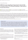 Cover page: NMDA Receptor Signaling Is Important for Neural Tube Formation and for Preventing Antiepileptic Drug-Induced Neural Tube Defects