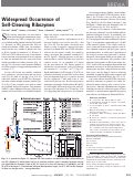 Cover page: Widespread Occurrence of Self-Cleaving Ribozymes