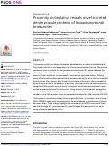 Cover page: Proximity biotinylation reveals novel secreted dense granule proteins of Toxoplasma gondii bradyzoites