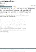 Cover page: The formation of KV2.1 macro-clusters is required for sex-specific differences in L-type CaV1.2 clustering and function in arterial myocytes