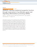 Cover page: HNRNPK maintains epidermal progenitor function through transcription of proliferation genes and degrading differentiation promoting mRNAs