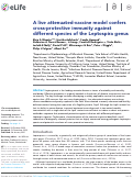 Cover page: A live attenuated-vaccine model confers cross-protective immunity against different species of the Leptospira genus.