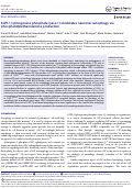 Cover page: SGPL1 (sphingosine phosphate lyase 1) modulates neuronal autophagy via phosphatidylethanolamine production.