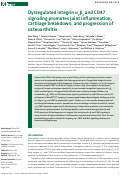 Cover page: Dysregulated integrin αVβ3 and CD47 signaling promotes joint inflammation, cartilage breakdown, and progression of osteoarthritis.