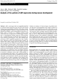 Cover page: Analysis of the pattern of QM expression during mouse development.