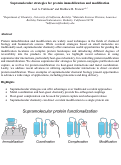 Cover page: Supramolecular strategies for protein immobilization and modification