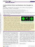 Cover page: Toxicity Inhibitors Protect Lipid Membranes from Disruption by Aβ42