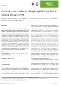Cover page: Osmotic stress‐induced phosphorylation by NLK at Ser128 activates YAP