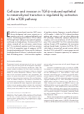 Cover page: Cell size and invasion in TGF-β–induced epithelial to mesenchymal transition is regulated by activation of the mTOR pathway