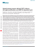 Cover page: Injured sensory neuron-derived CSF1 induces microglial proliferation and DAP12-dependent pain