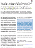 Cover page: Uncovering a membrane-distal conformation of KRAS available to recruit RAF to the plasma membrane