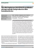 Cover page: The elite haplotype OsGATA8-H coordinates nitrogen uptake and productive tiller formation in rice.