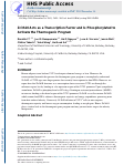 Cover page: Zc3h10 Acts as a Transcription Factor and Is Phosphorylated to Activate the Thermogenic Program