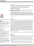 Cover page: Structural characterization of the buccal mass of Ariolimax californicus (Gastropoda; Stylommatophora)