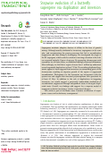 Cover page: Stepwise evolution of a butterfly supergene via duplication and inversion.